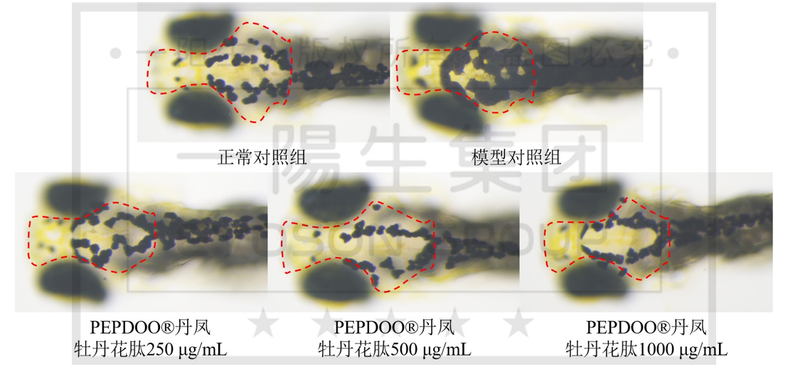 云顶集团3118(中国)官方网站