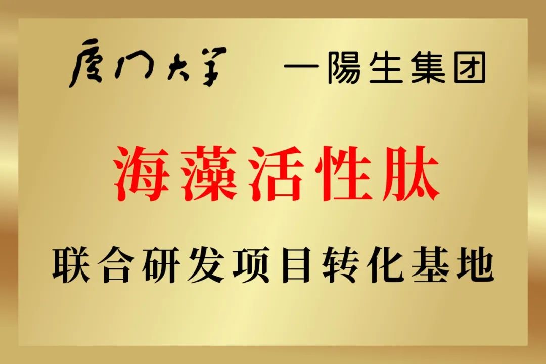 云顶集团3118(中国)官方网站